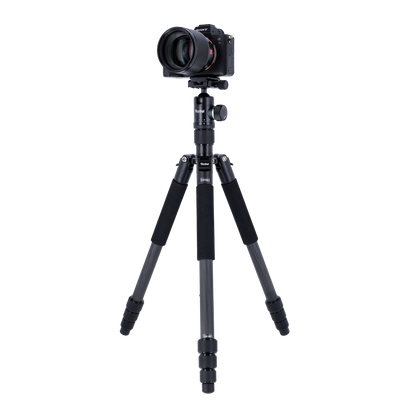 Stativ | Carbon | CT-5C