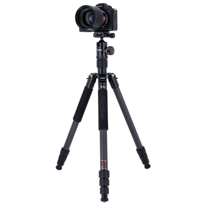 Stativ | Carbon | C5i