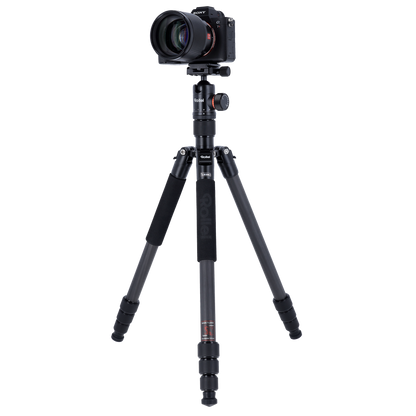 Stativ | Carbon | C6i