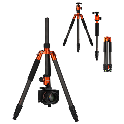 Stativ | Carbon | C6i